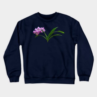 Orchids - Aerides Lawrenciae X Odorata Orchid Crewneck Sweatshirt